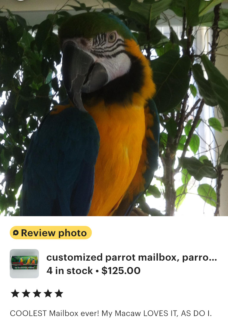 Parrots Custom Mailbox, Bird Lovers Gift, Tropical Gift Beach House