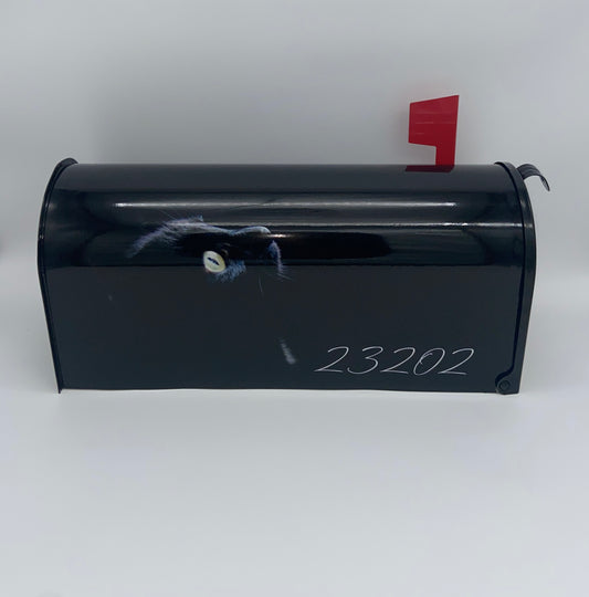 Black Cat Custom Mailbox