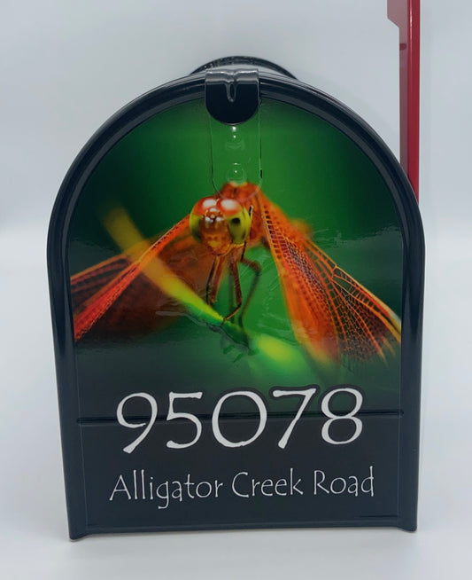 Beautiful Dragonfly Custom Mailbox, Personalized Gift of Nature