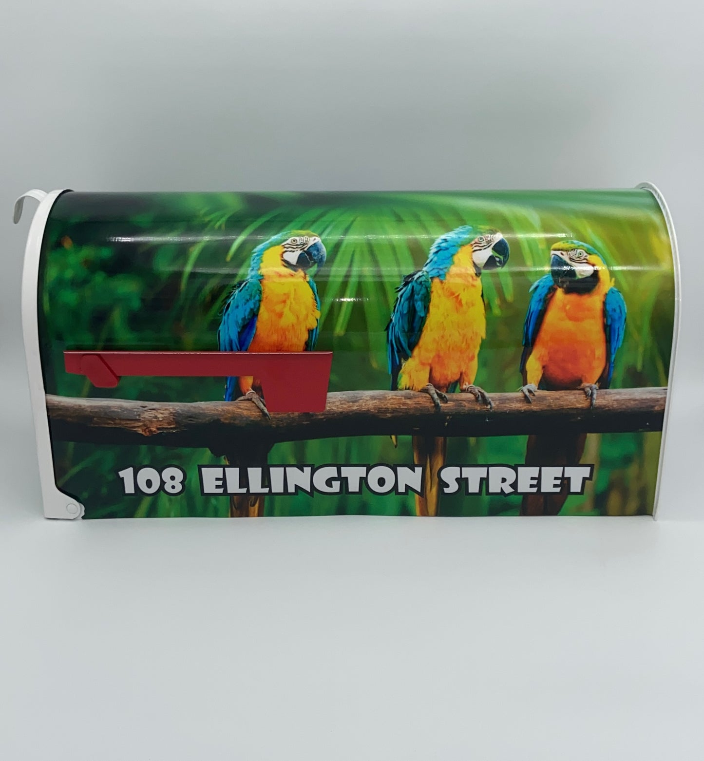 Parrots Custom Mailbox, Bird Lovers Gift, Tropical Gift Beach House