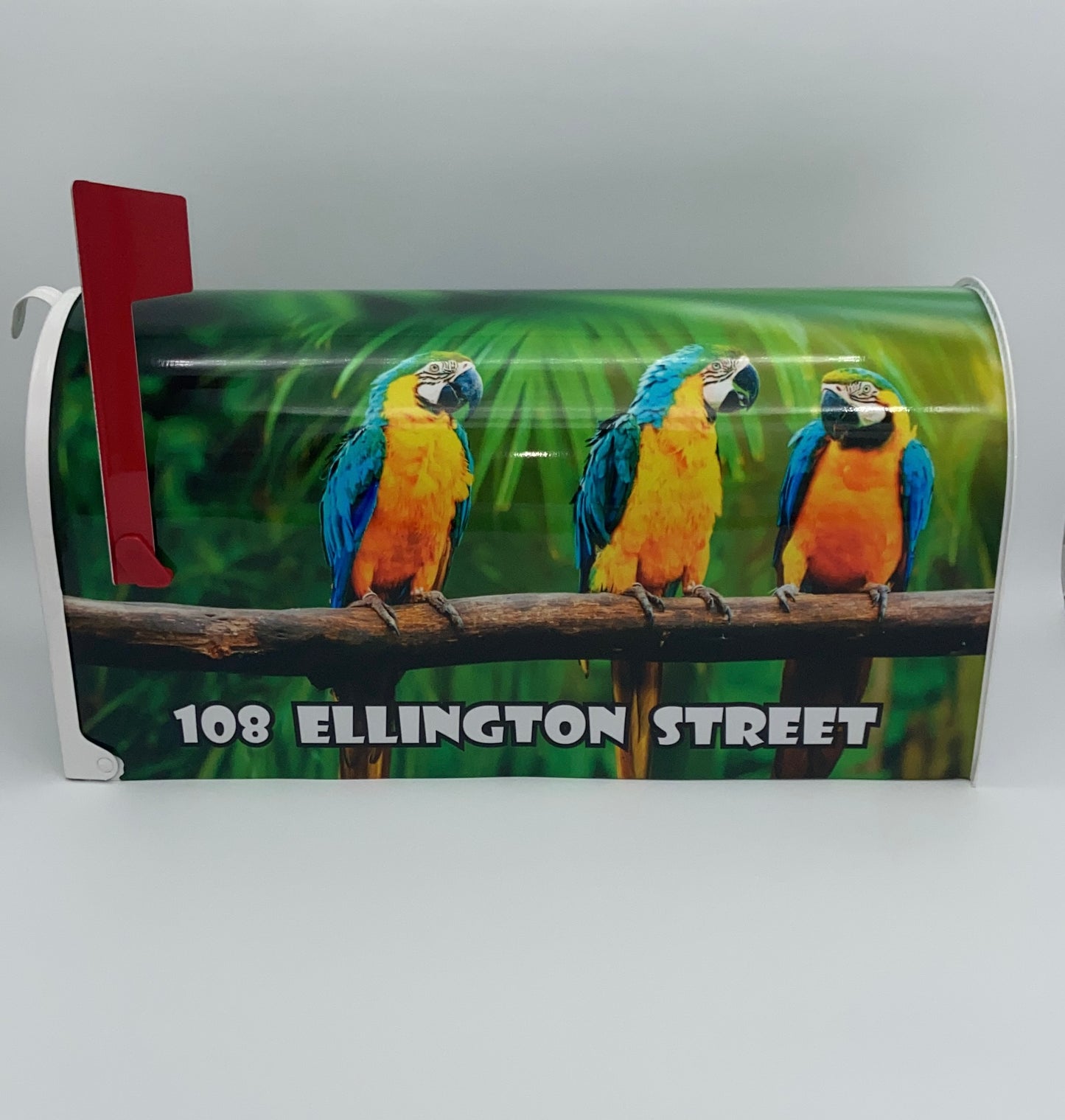 Parrots Custom Mailbox, Bird Lovers Gift, Tropical Gift Beach House