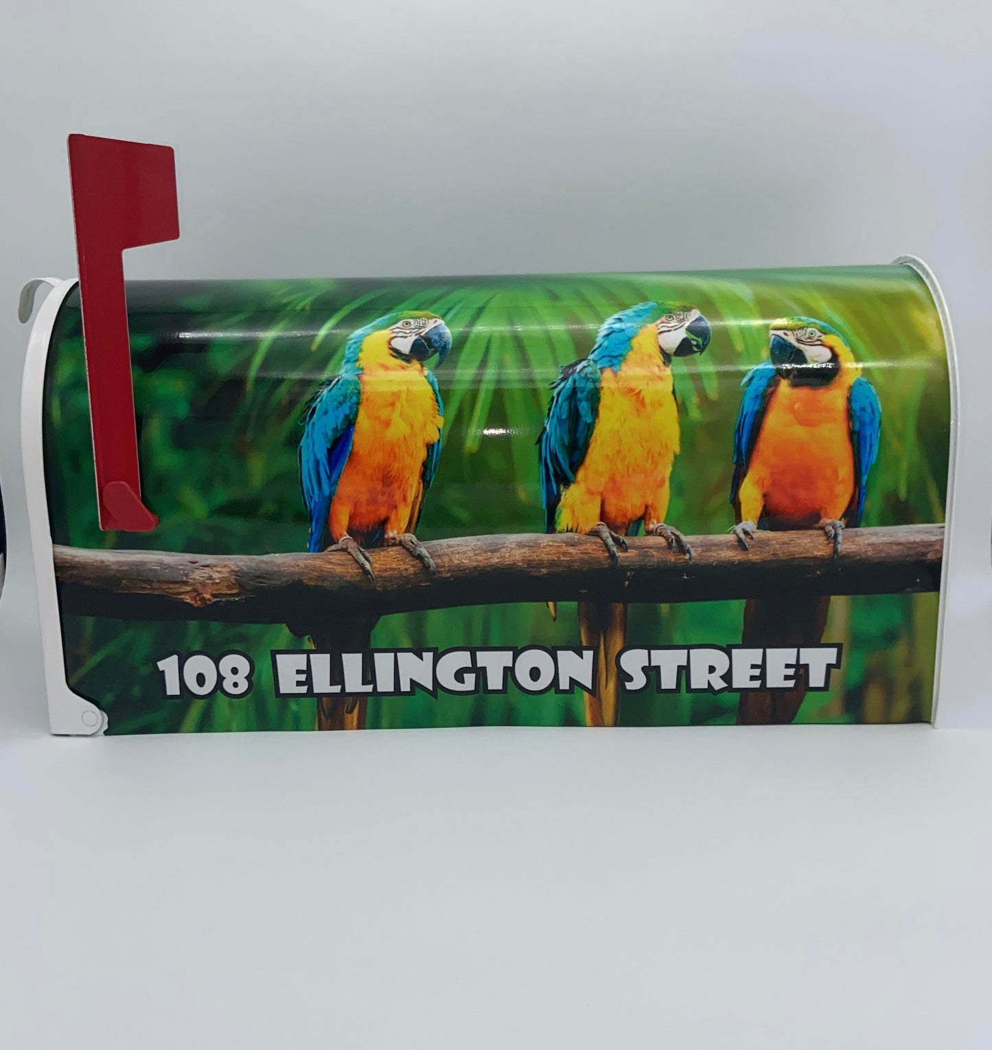 Parrots Custom Mailbox, Bird Lovers Gift, Tropical Gift Beach House