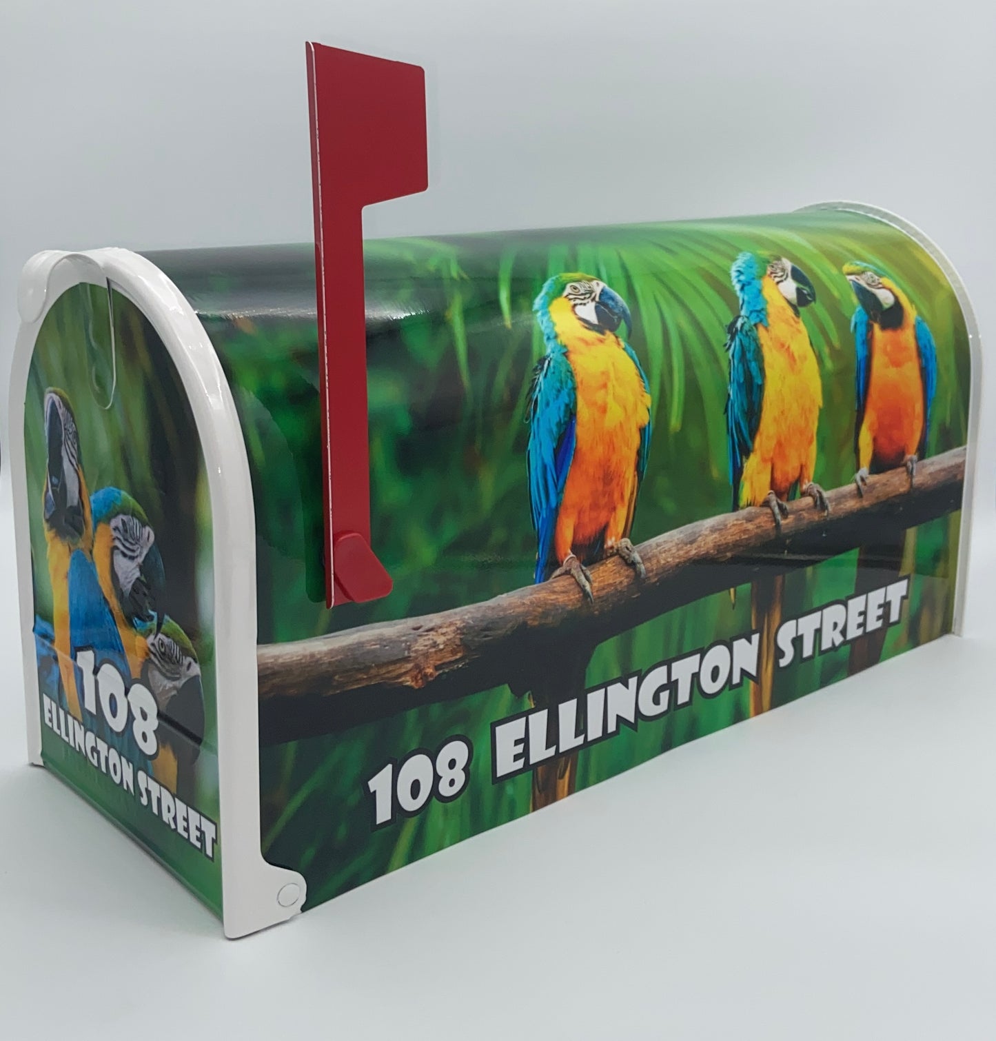 Parrots Custom Mailbox, Bird Lovers Gift, Tropical Gift Beach House