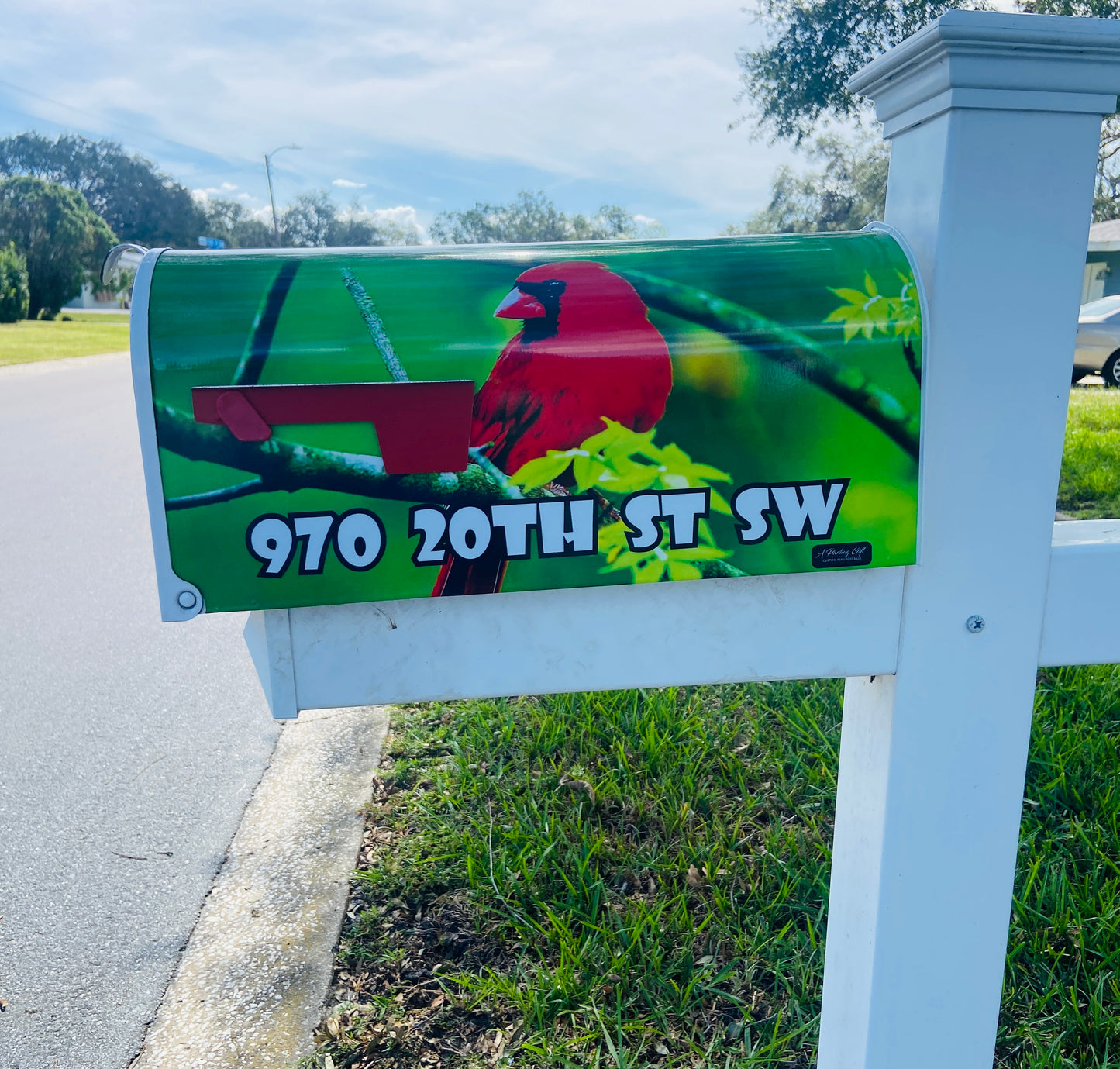 Cardinal Bird Custom Mailbox, Personalized gift for Mom, Gift for Dad