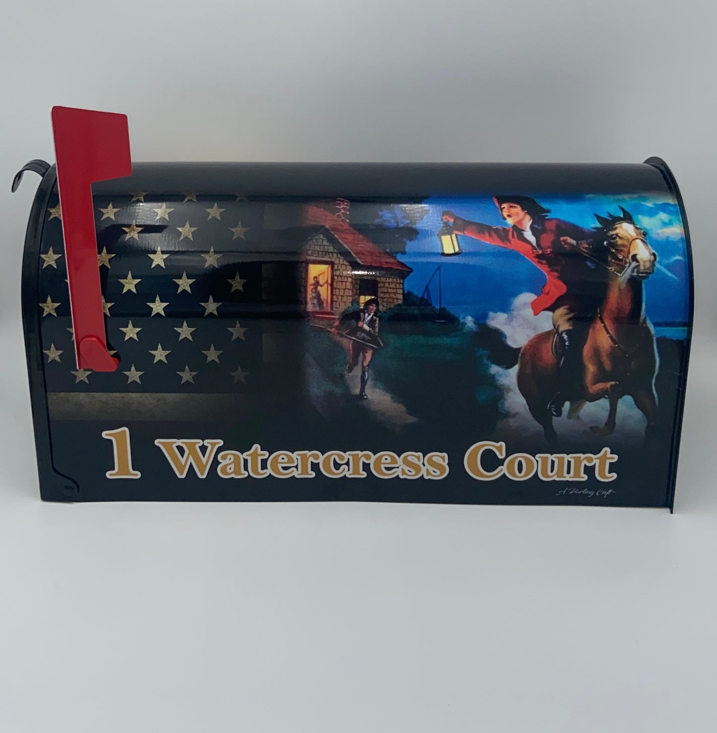 We the People Custom mailbox, Patriotic American Gift Idea