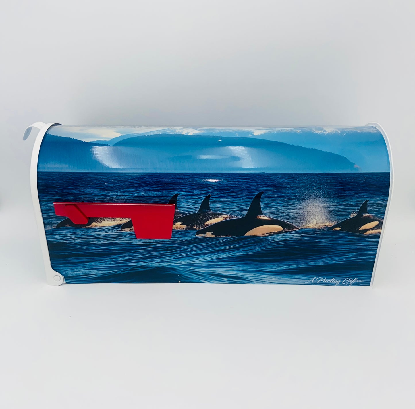 Personalized Orca Whale Mailbox, Custom Gift for Grandparents Beach House