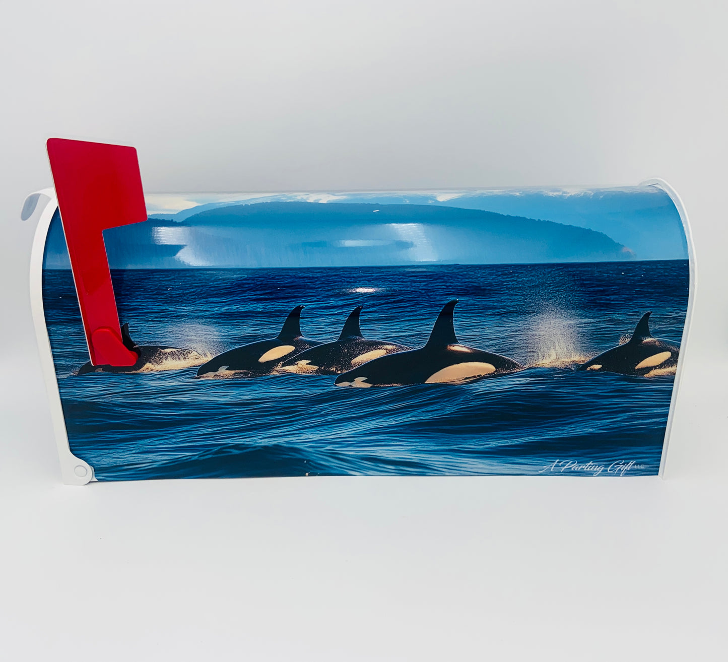 Personalized Orca Whale Mailbox, Custom Gift for Grandparents Beach House