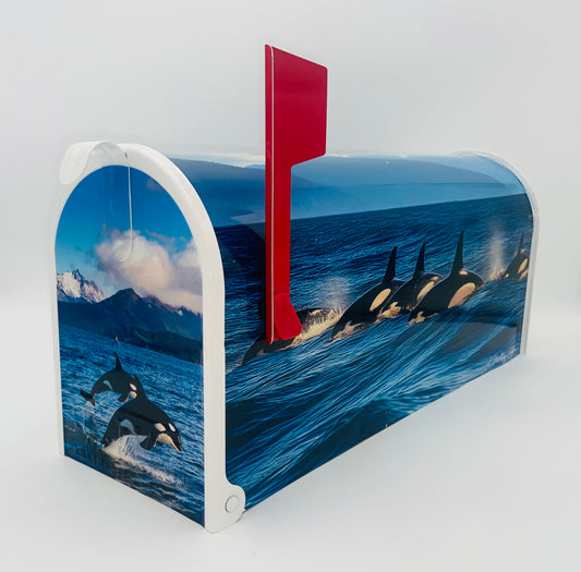 Personalized Orca Whale Mailbox, Custom Gift for Grandparents Beach House