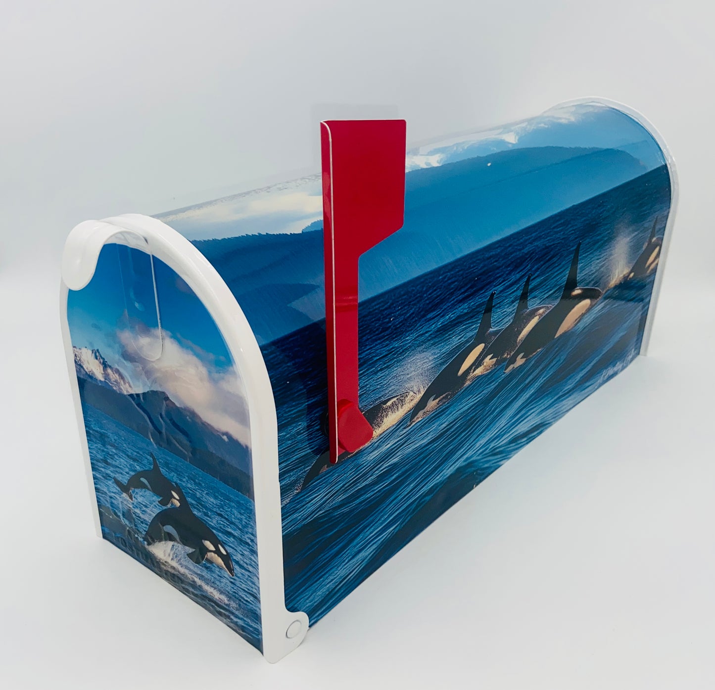 Personalized Orca Whale Mailbox, Custom Gift for Grandparents Beach House