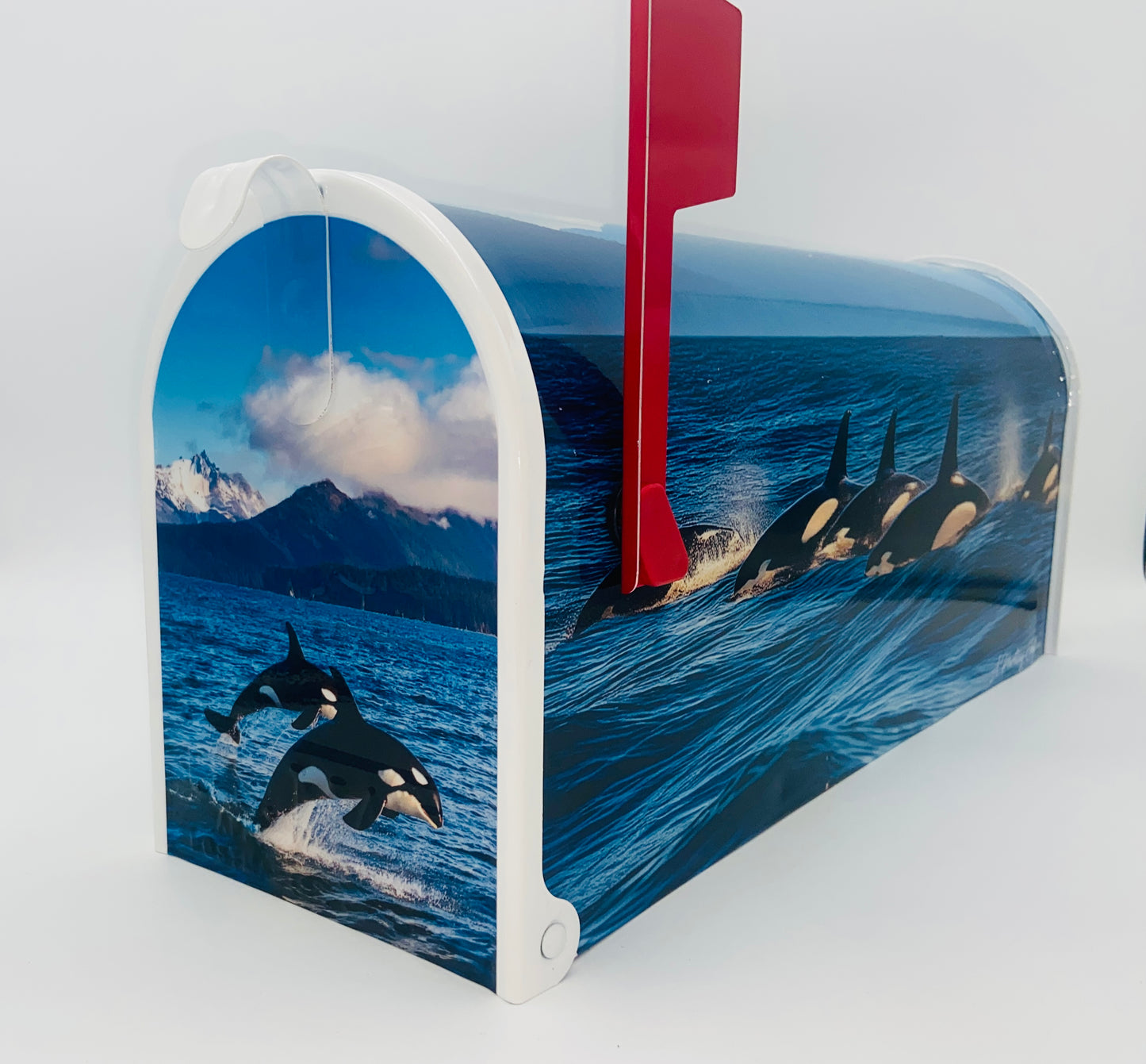 Personalized Orca Whale Mailbox, Custom Gift for Grandparents Beach House