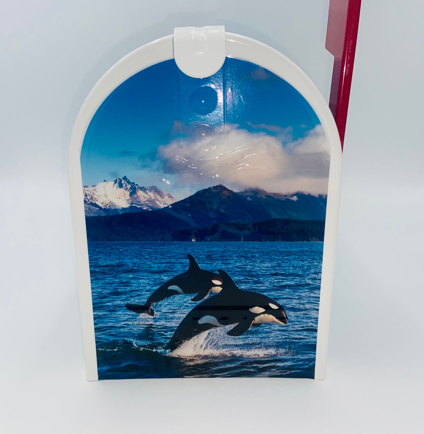 Personalized Orca Whale Mailbox, Custom Gift for Grandparents Beach House