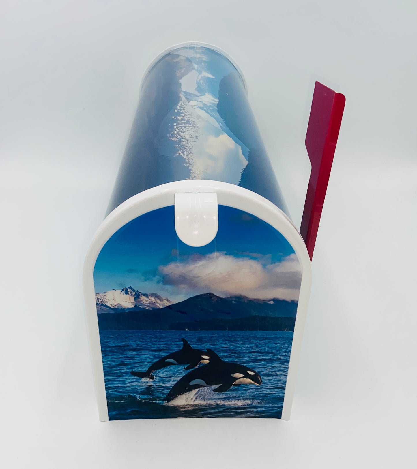 Personalized Orca Whale Mailbox, Custom Gift for Grandparents Beach House