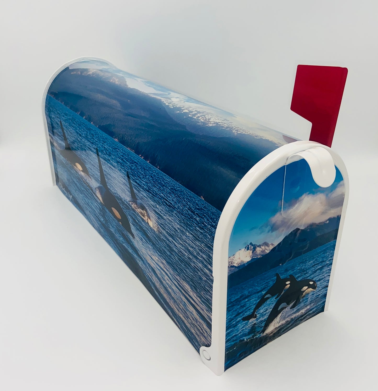 Personalized Orca Whale Mailbox, Custom Gift for Grandparents Beach House