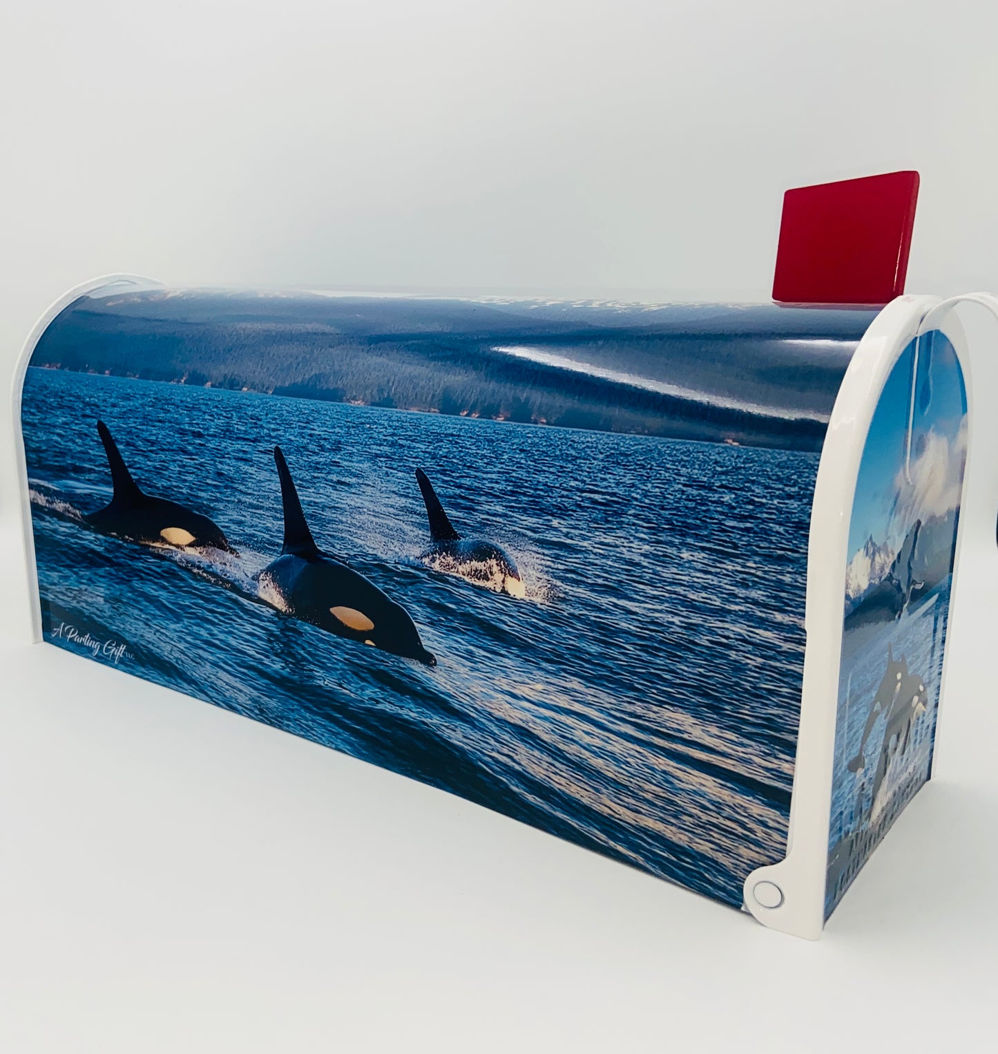 Personalized Orca Whale Mailbox, Custom Gift for Grandparents Beach House