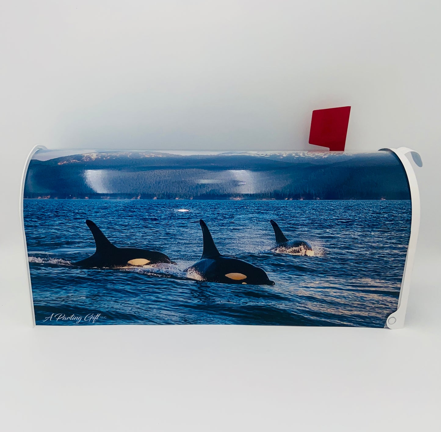 Personalized Orca Whale Mailbox, Custom Gift for Grandparents Beach House