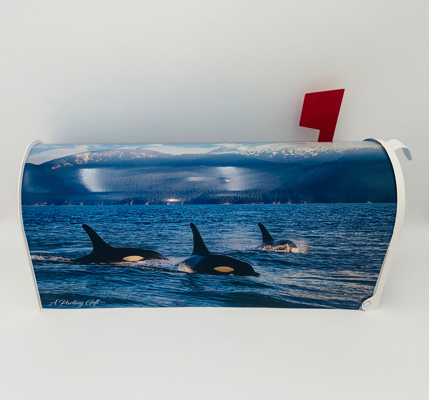 Personalized Orca Whale Mailbox, Custom Gift for Grandparents Beach House