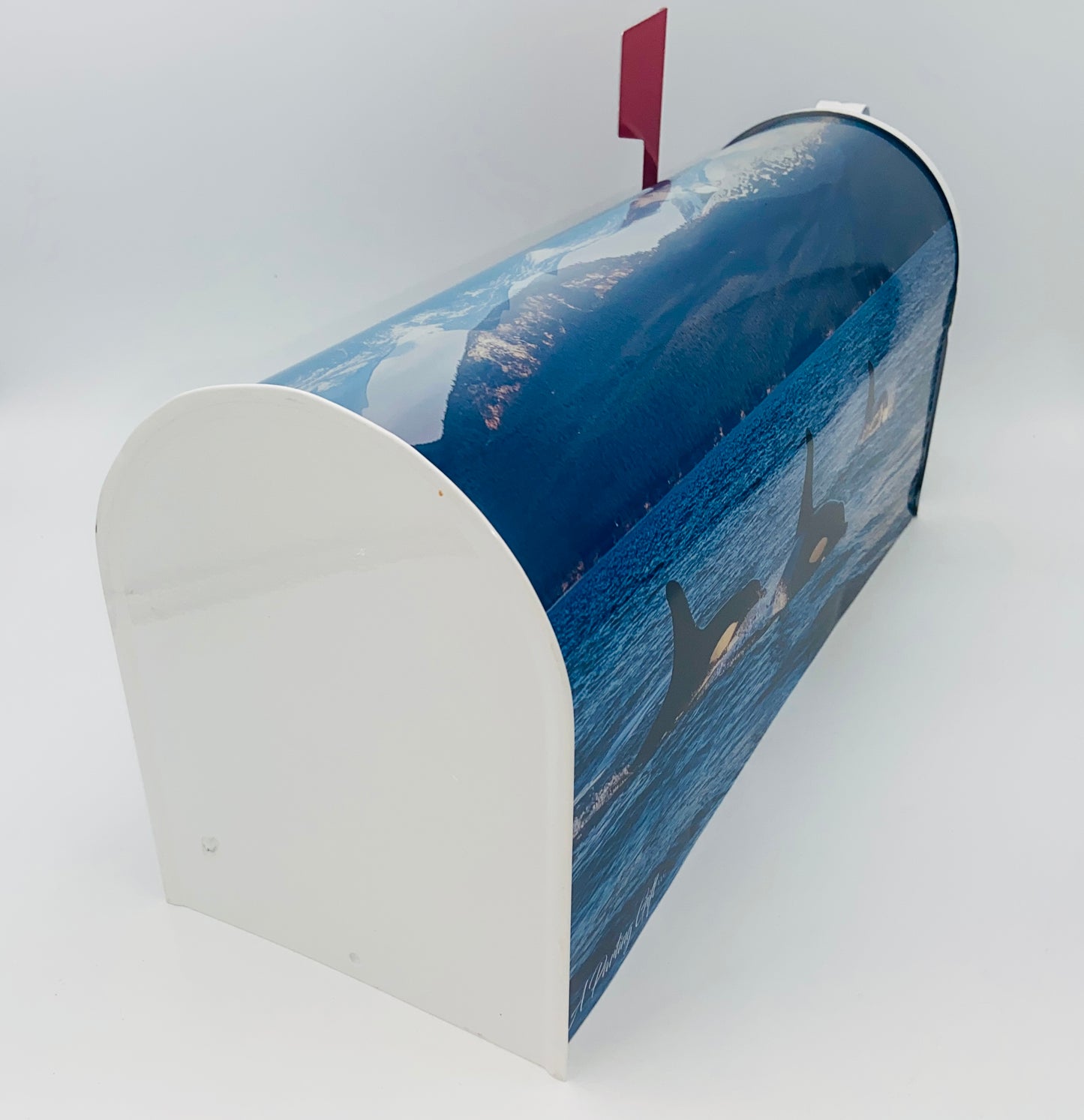 Personalized Orca Whale Mailbox, Custom Gift for Grandparents Beach House