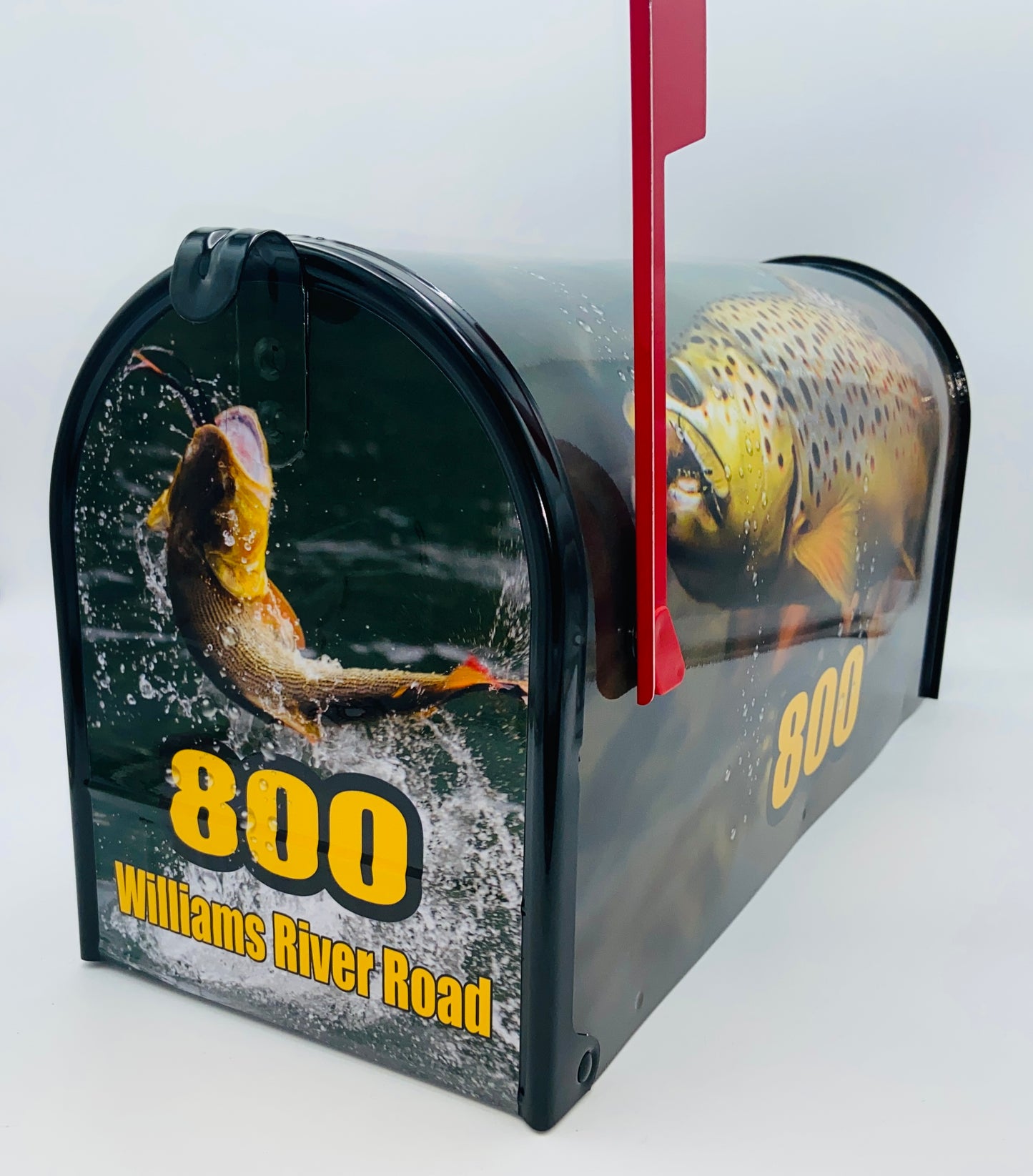 Custom mailbox, Trout fishing, Gift for dad, sale, gift for dad, Decorating beach, Decoration beach