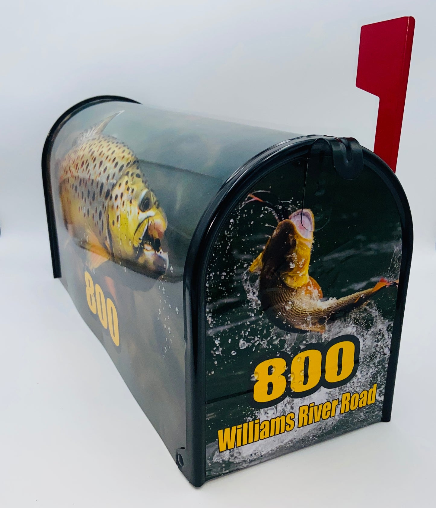 Custom mailbox, Trout fishing, Gift for dad, sale, gift for dad, Decorating beach, Decoration beach