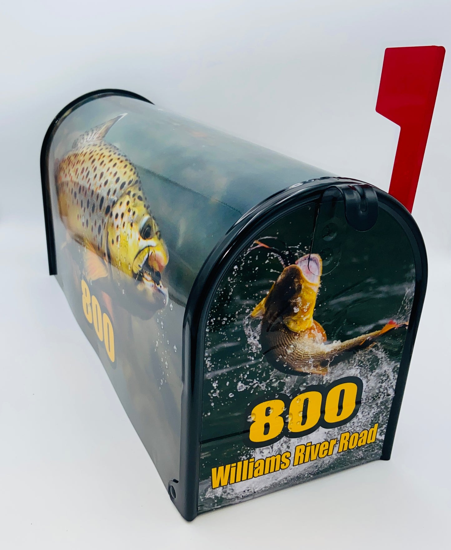 Custom mailbox, Trout fishing, Gift for dad, sale, gift for dad, Decorating beach, Decoration beach