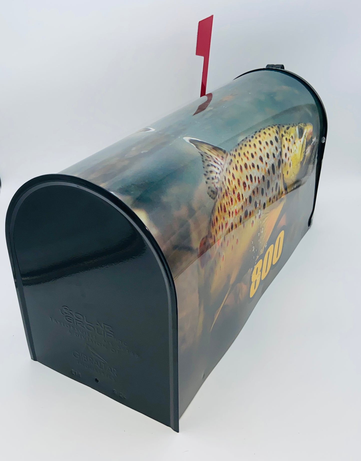 Custom mailbox, Trout fishing, Gift for dad, sale, gift for dad, Decorating beach, Decoration beach