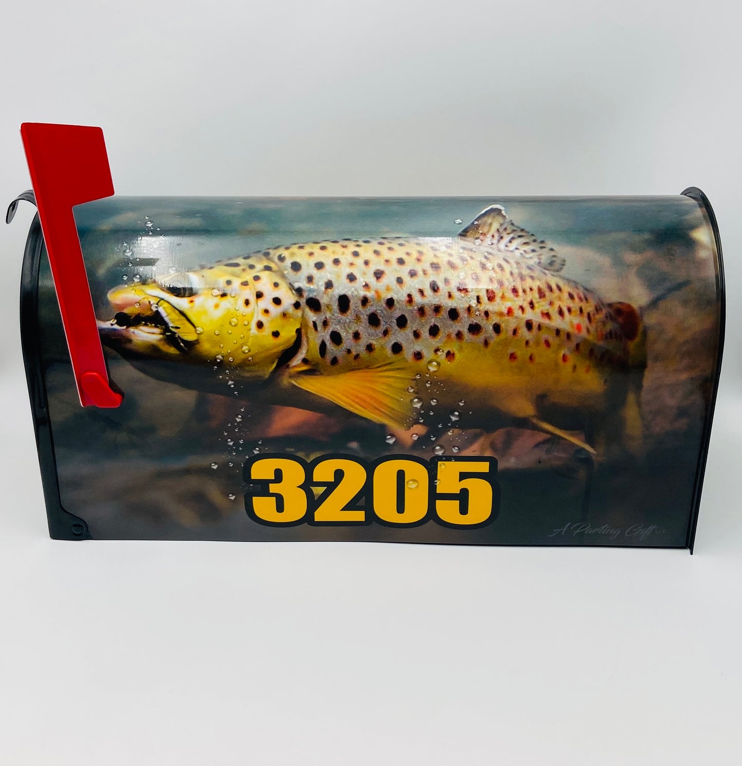 Custom mailbox, Trout fishing, Gift for dad, sale, gift for dad, Decorating beach, Decoration beach